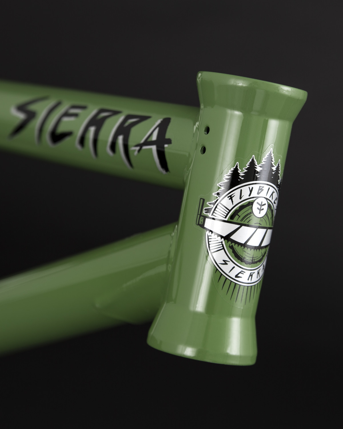 Flybikes BMX Sierra Frame