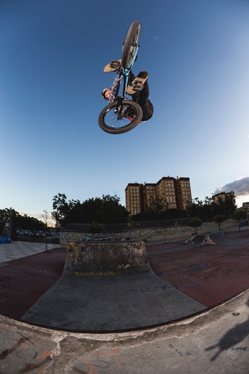 Vans - Welcome to the Family Sergio Layos