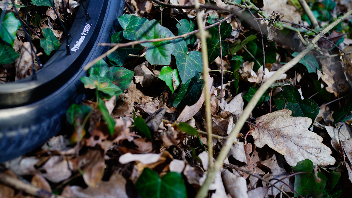 Welcome Martin Capek + Bike Check