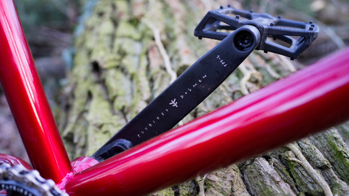 Welcome Martin Capek + Bike Check