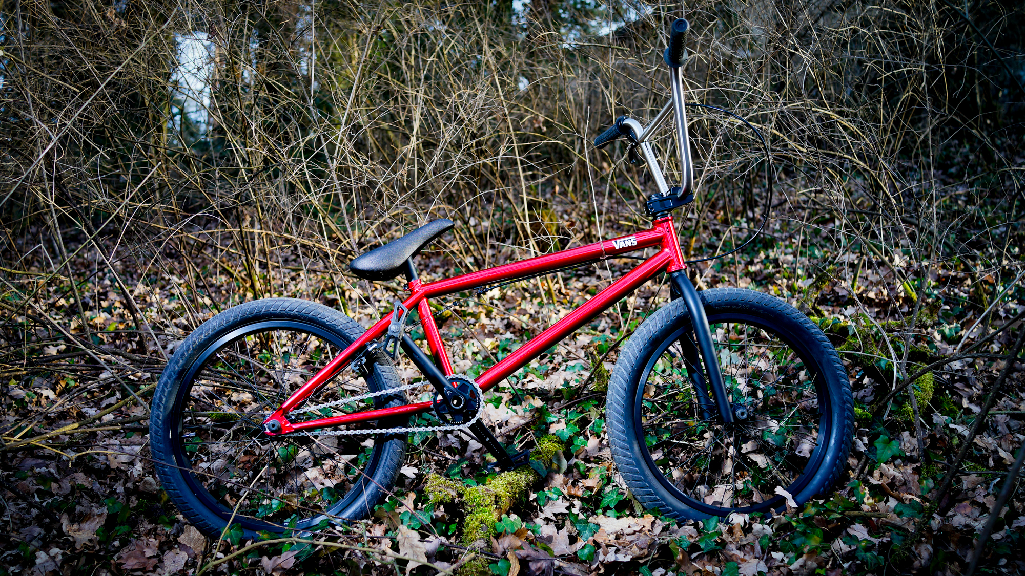Welcome Martin Capek + Bike Check