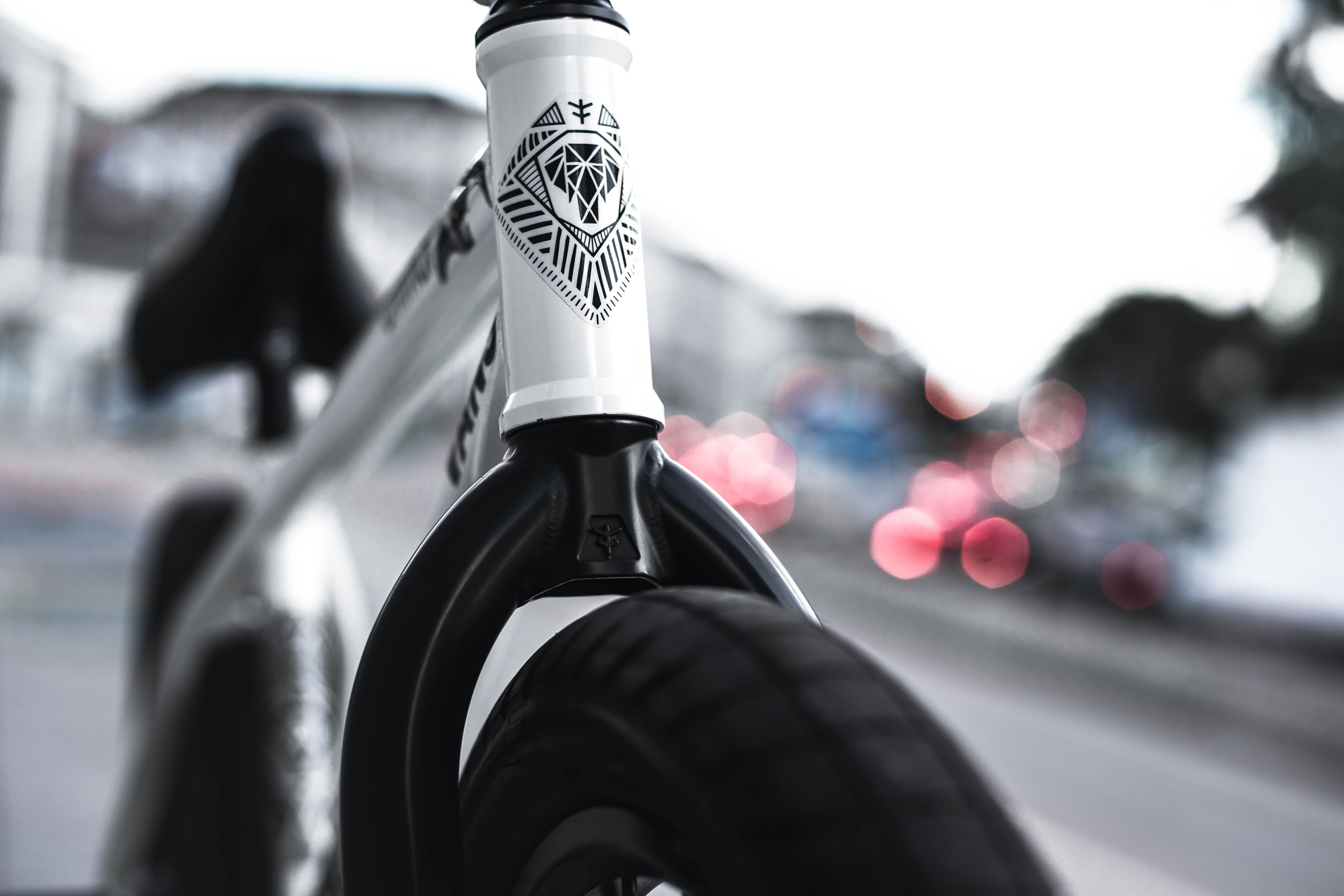 Courage Adams Savanna Bike Check