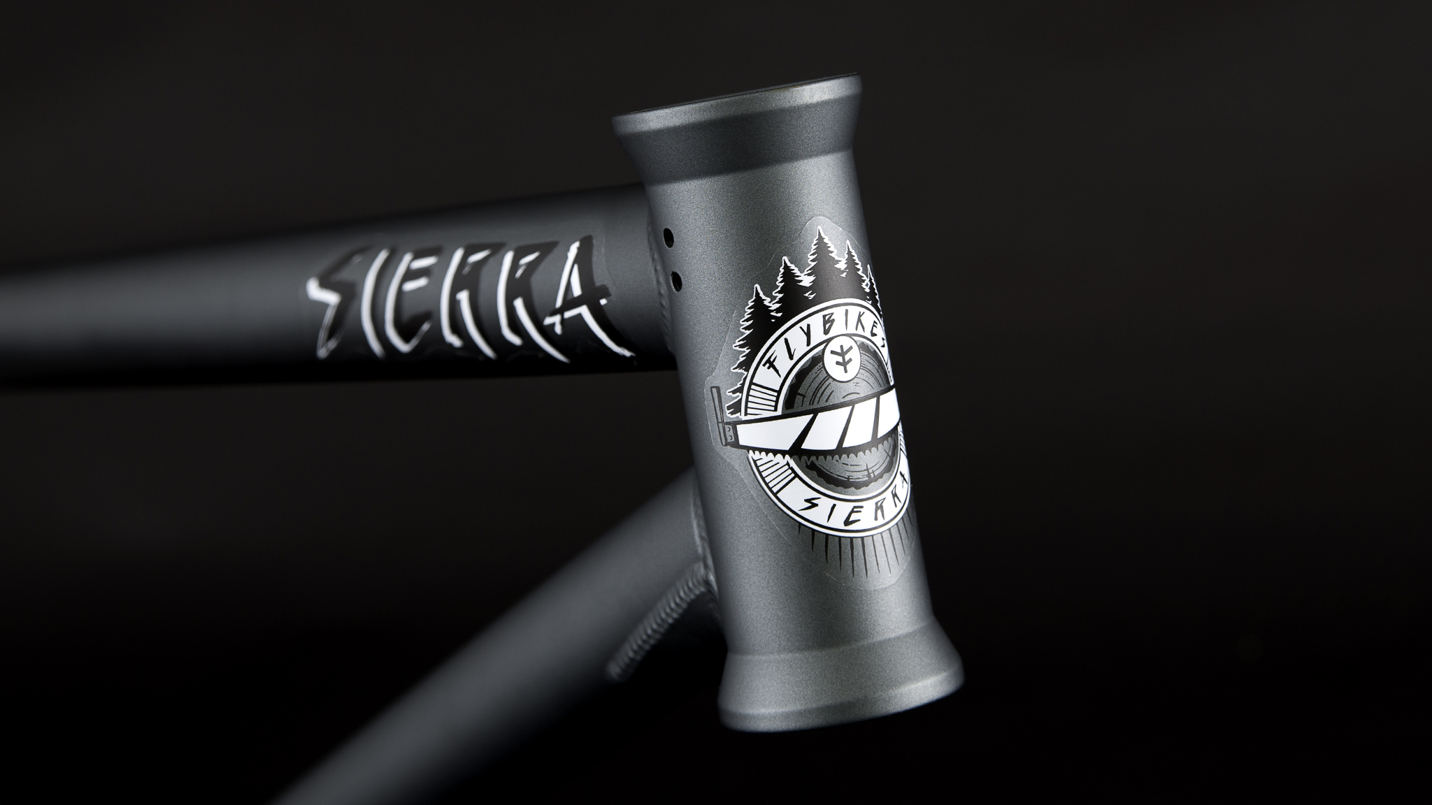 2019 Sneak Peek - Sergio Layos Sierra Frame