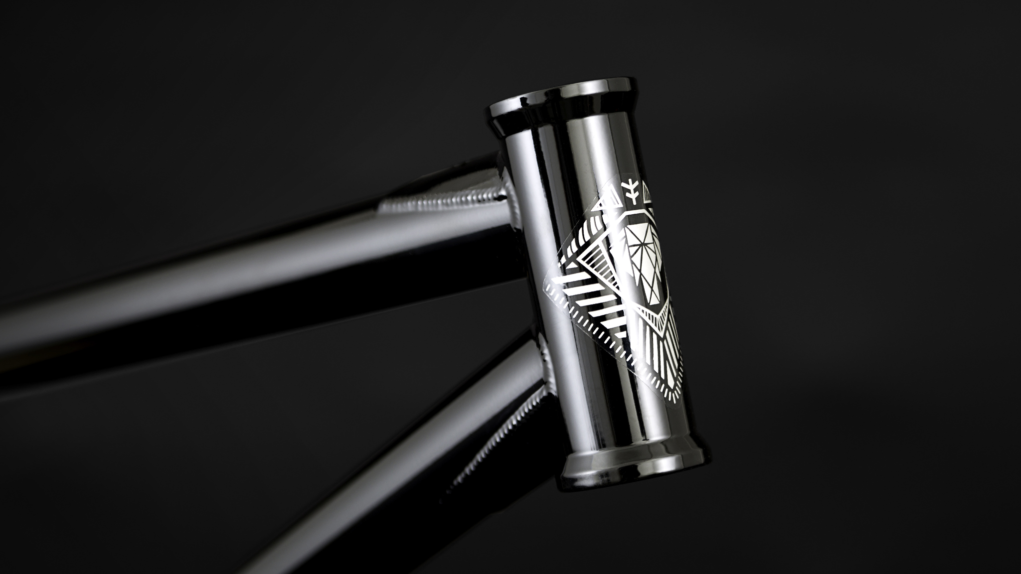 2019 Courage Adams SIgnature Savanna Frame