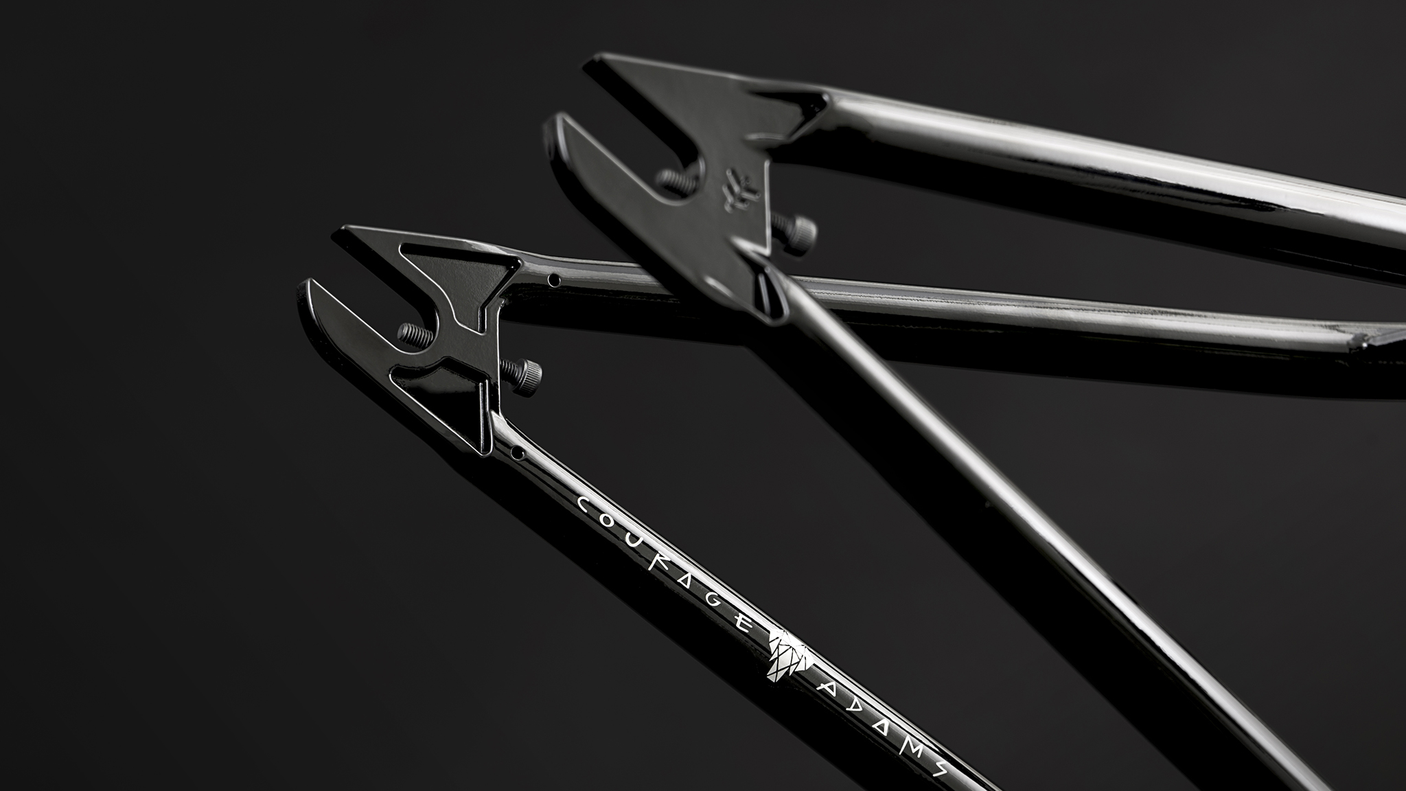 2019 Courage Adams SIgnature Savanna Frame