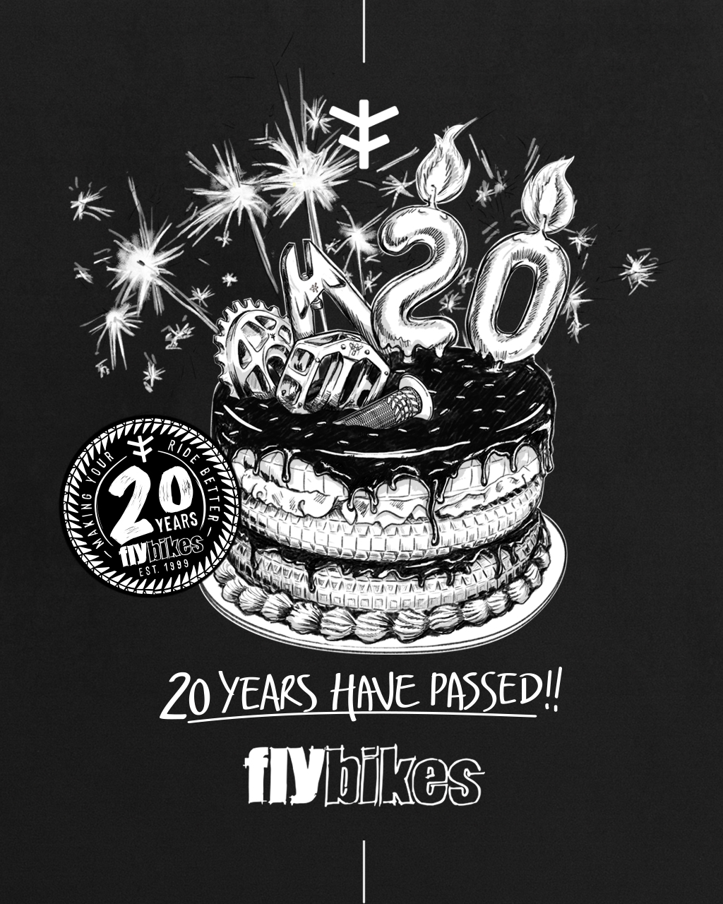 20 YEARS OF FLYBIKES