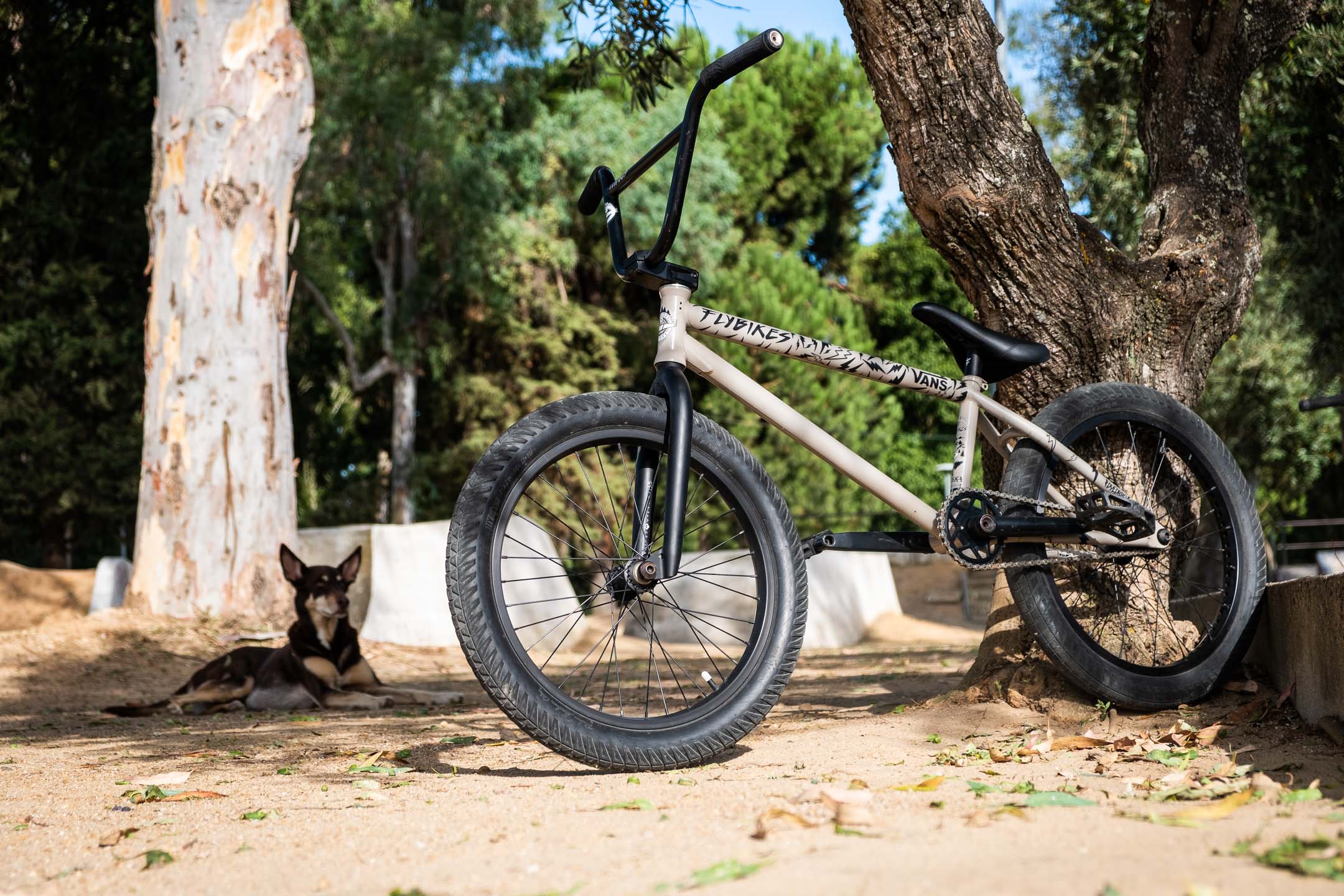 Sergio Layos Ride UK Bike Check