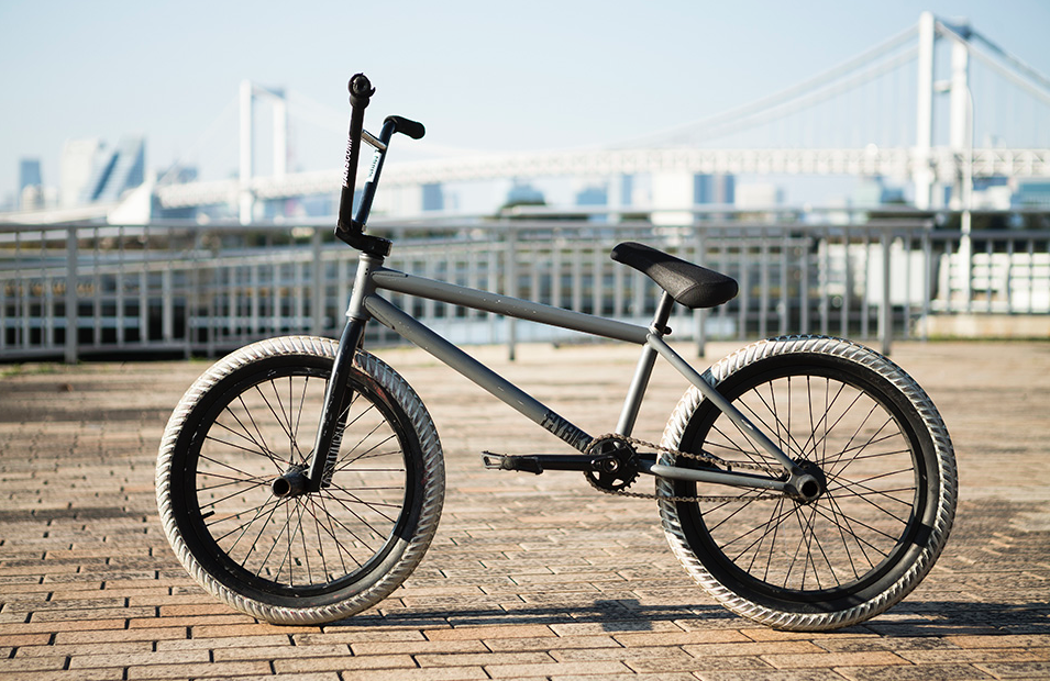 Bike check. BMX FLYBIKES. Пеги FLYBIKES Flatland.