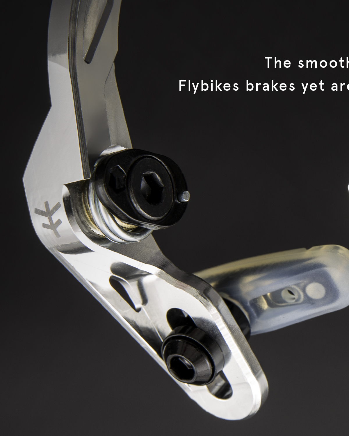 Flybikes BMX - BMX Brand since 1999